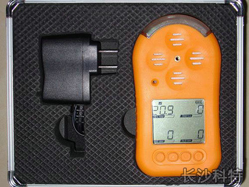 便携式甲烷检测仪